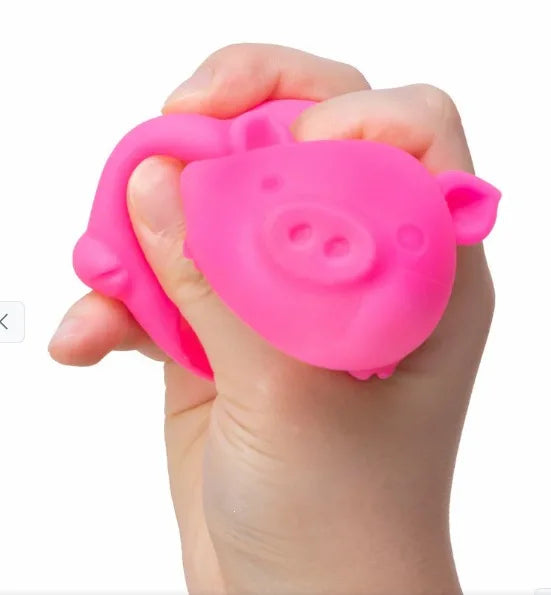 NeeDoh Dig’It Pig Squishy Fidget Toy