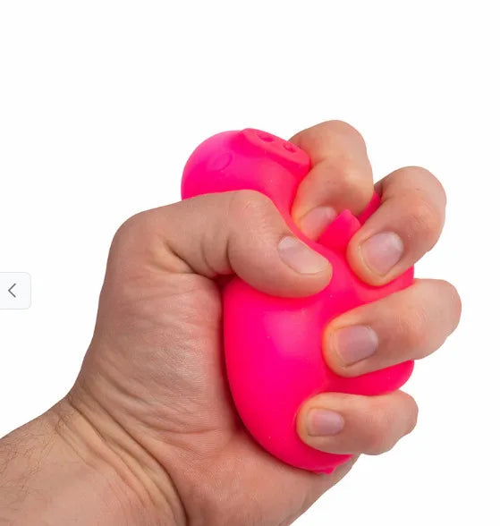 NeeDoh Dig’It Pig Squishy Fidget Toy